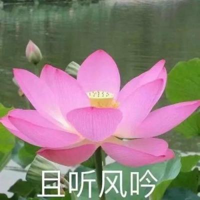 神圣联盟九游版下载
