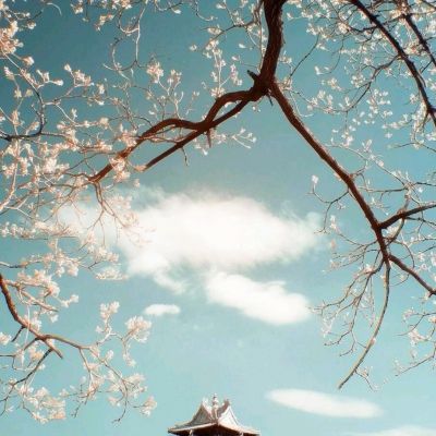 大话白蛇bt版下载